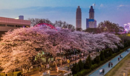 抖音最新吃瓜爆料入口在哪,一键掌握热门资讯！”